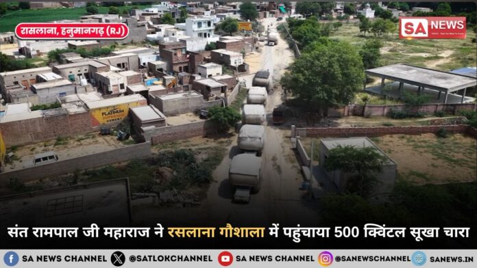 संत रामपाल जी महाराज ने रसलाना गौशाला में पहुंचाया 500 क्विंटल सूखा चारा