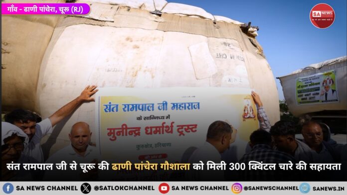 संत रामपाल जी महाराज से चूरू की ढाणी पांचेरा गौशाला को मिली 300 क्विंटल चारे की सहायता