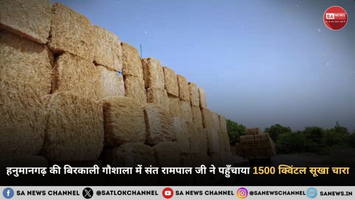 हनुमानगढ़ की बिरकाली गौशाला में संत रामपाल जी महाराज ने पहुँचाया 1500 क्विंटल सूखा चारा