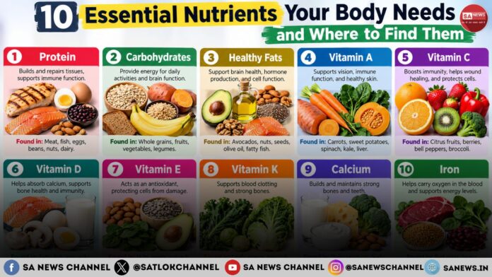 10 Essential Nutrients Your Body Needs and Where to Find Them