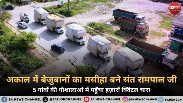अकाल में बेजुबानों के मसीहा बने संत रामपाल जी महाराज