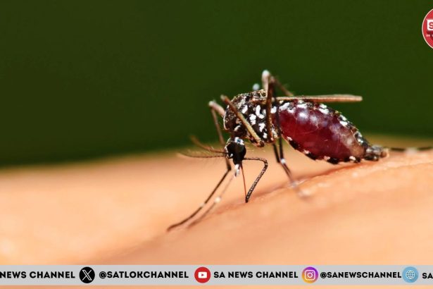 World Mosquito Day 2024 विश्व मच्छर दिवस in Hindi