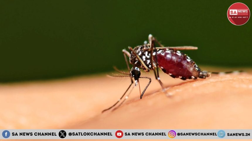 World Mosquito Day 2024 विश्व मच्छर दिवस in Hindi