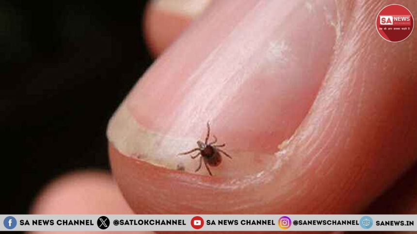 एक बार फिर मंडराया स्क्रब टाइफस (Scrub Typhus) का खतरा लगातार बढ़ रहे मामलों से लोगों में फैली दहशत