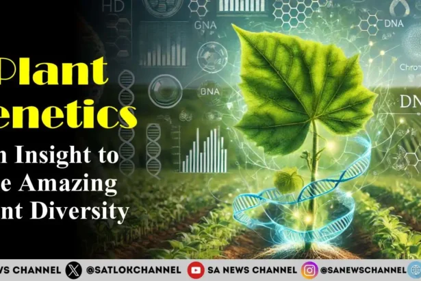 Plant Genetics An Insight to the Amazing Plant Diversity