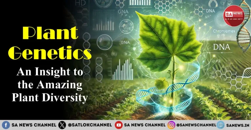 Plant Genetics An Insight to the Amazing Plant Diversity