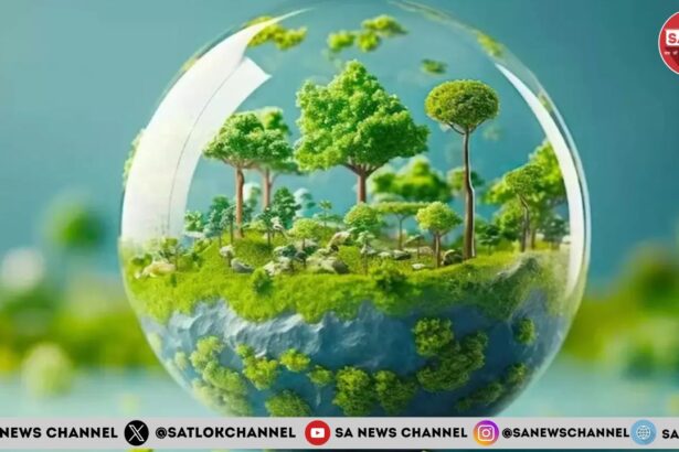 ओजोन परत और हमारा भविष्य विश्व ओजोन दिवस 2024 पर जानें इसके महत्व