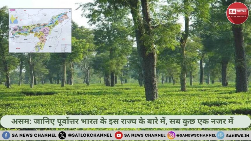 असम जानिए पूर्वोत्तर भारत के इस राज्य के बारे में, सब कुछ एक नजर में
