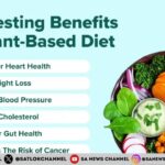 6 Benefits of a Plant-based Diet for Human Health