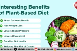 6 Benefits of a Plant-based Diet for Human Health