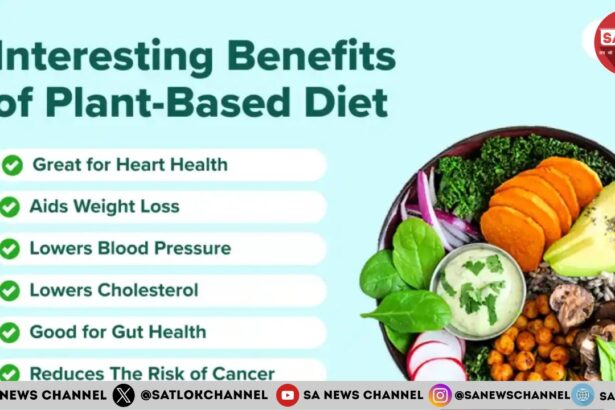 6 Benefits of a Plant-based Diet for Human Health
