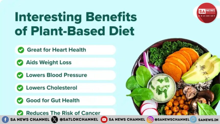 6 Benefits of a Plant-based Diet for Human Health