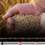 Union Cabinet Approves MSP Hike For Rabi Crops For 2025-26 Marketing Season