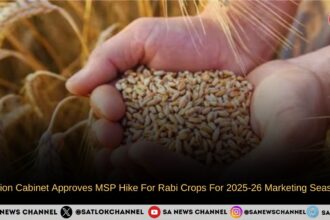 Union Cabinet Approves MSP Hike For Rabi Crops For 2025-26 Marketing Season
