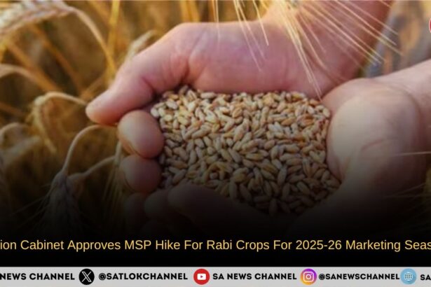 Union Cabinet Approves MSP Hike For Rabi Crops For 2025-26 Marketing Season