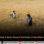 the Astonishing Secrets of China From Ancient Dynasties to Today's Global Powerhouse!