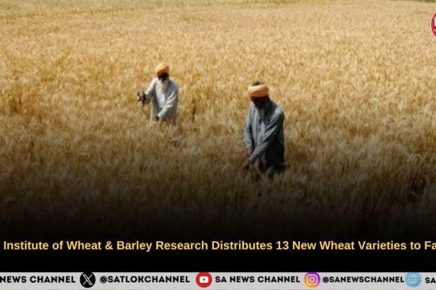 the Astonishing Secrets of China From Ancient Dynasties to Today's Global Powerhouse!