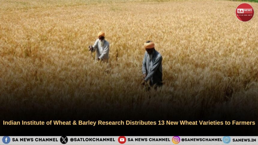 the Astonishing Secrets of China From Ancient Dynasties to Today's Global Powerhouse!