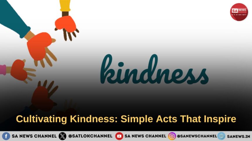 Cultivating Kindness: Simple Acts That Inspire