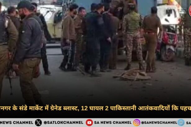 श्रीनगर के संडे मार्केट में ग्रेनेड ब्लास्ट, 12 घायल 2 पाकिस्तानी आतंकवादियों कि पहचान