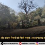 राजस्थान में एक और टाइगर रिजर्व को मिली मंजूरी अब कुंभलगढ़ बनेगा बाघों का गढ़