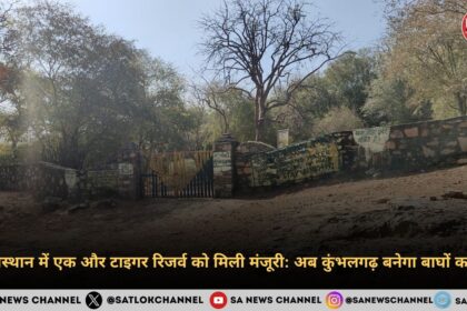 राजस्थान में एक और टाइगर रिजर्व को मिली मंजूरी अब कुंभलगढ़ बनेगा बाघों का गढ़