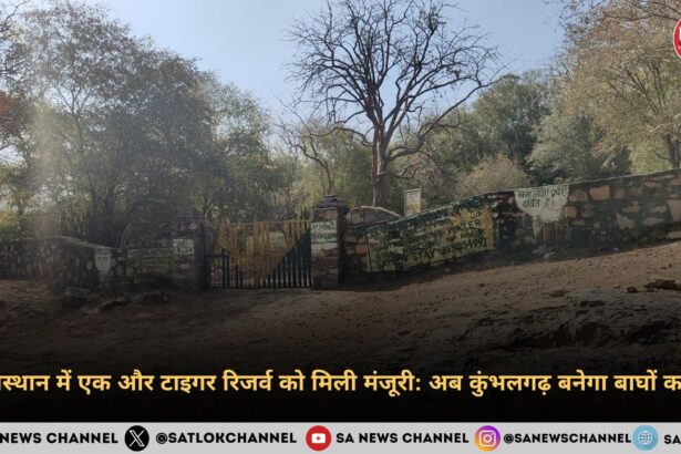 राजस्थान में एक और टाइगर रिजर्व को मिली मंजूरी अब कुंभलगढ़ बनेगा बाघों का गढ़