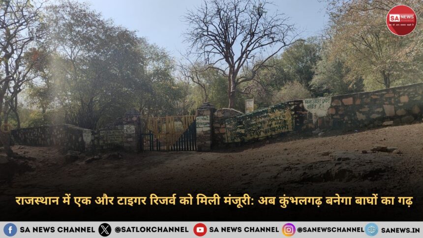 राजस्थान में एक और टाइगर रिजर्व को मिली मंजूरी अब कुंभलगढ़ बनेगा बाघों का गढ़