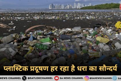 प्लास्टिक प्रदूषण हर रहा है धरा का सौन्दर्य