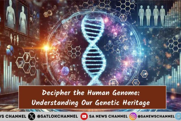 The Human Genome: Untangling the Mystery of Human Genome