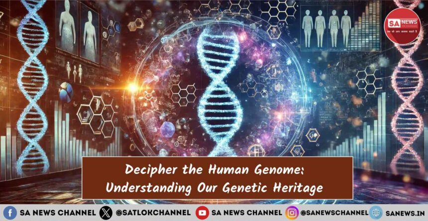 The Human Genome: Untangling the Mystery of Human Genome