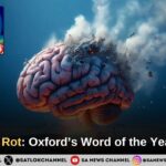 Brain Rot’: Oxford’s Word of the Year 2024