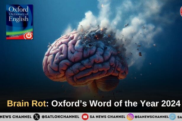 Brain Rot’: Oxford’s Word of the Year 2024