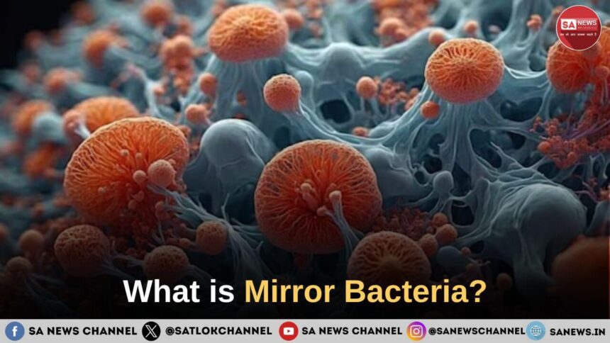 What is Mirror Bacteria?