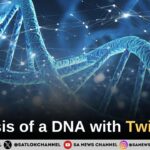 Analysis of a DNA with TwigStats