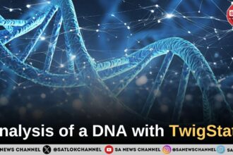 Analysis of a DNA with TwigStats