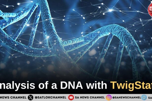 Analysis of a DNA with TwigStats