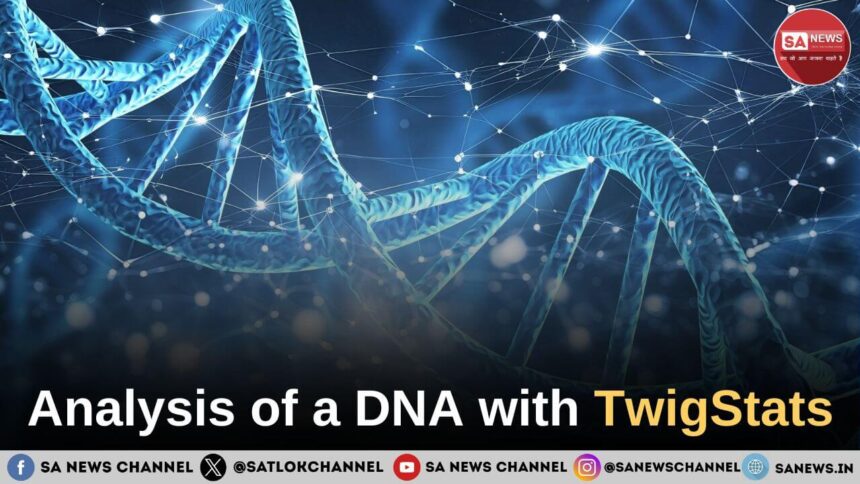 Analysis of a DNA with TwigStats