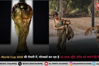 2030 फीफा वर्ल्ड कप FIFA World Cup 2030 की तैयारी के लिए मोरक्को सरकार 30 लाख आवारा कुत्तों को मारने की योजना बना रही है, जो दुनिया भर में आक्रोश और चिंता का कारण बन गया है।
