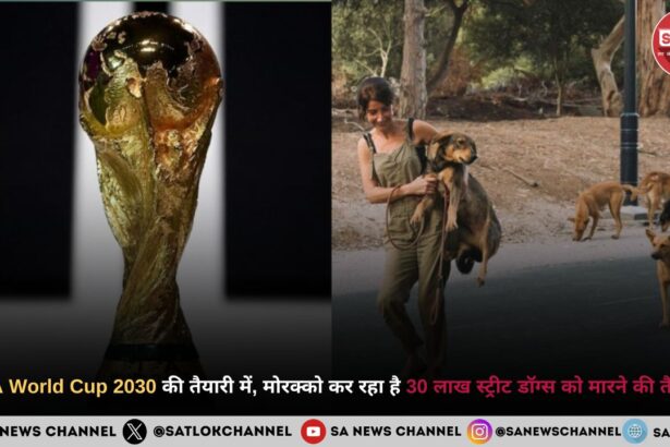 2030 फीफा वर्ल्ड कप FIFA World Cup 2030 की तैयारी के लिए मोरक्को सरकार 30 लाख आवारा कुत्तों को मारने की योजना बना रही है, जो दुनिया भर में आक्रोश और चिंता का कारण बन गया है।
