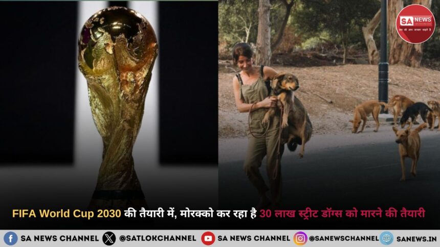 2030 फीफा वर्ल्ड कप FIFA World Cup 2030 की तैयारी के लिए मोरक्को सरकार 30 लाख आवारा कुत्तों को मारने की योजना बना रही है, जो दुनिया भर में आक्रोश और चिंता का कारण बन गया है।