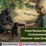 From Researcher to Global Environment Activist, Discover Jane Goodall’s Journey