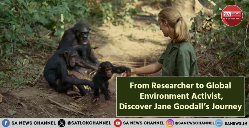 From Researcher to Global Environment Activist, Discover Jane Goodall’s Journey