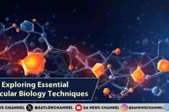 Exploring Essential Molecular Biology Techniques