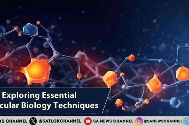 Exploring Essential Molecular Biology Techniques