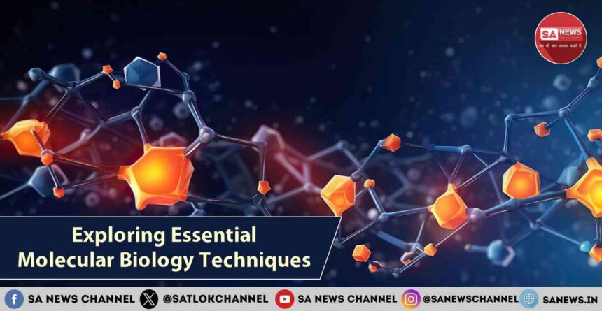 Exploring Essential Molecular Biology Techniques