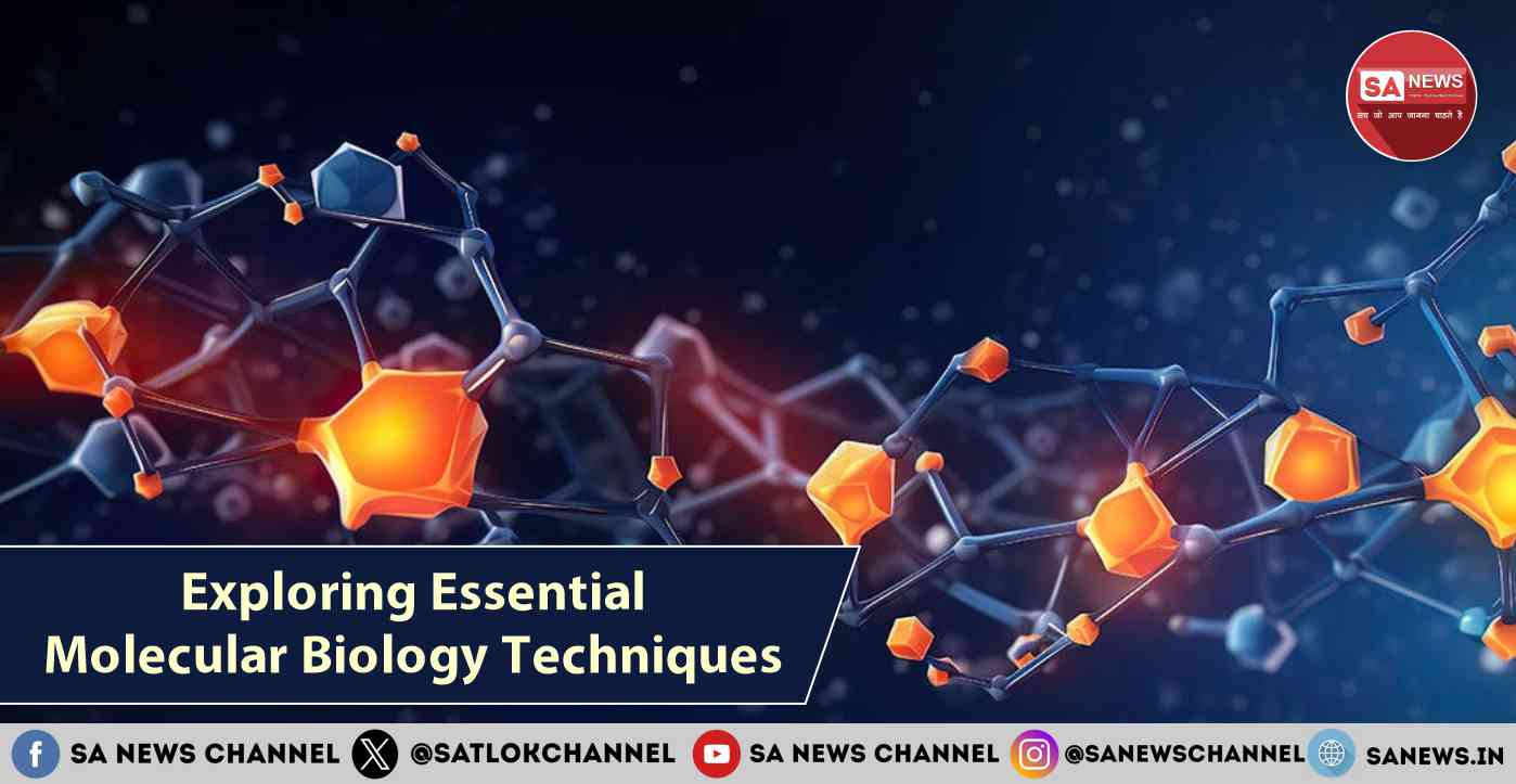 Exploring Essential Molecular Biology Techniques [2025]