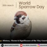 World Sparrow Day 2025 History, Theme & Significance of the Tiny Guardians of Our Ecosystem