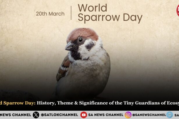 World Sparrow Day 2025 History, Theme & Significance of the Tiny Guardians of Our Ecosystem