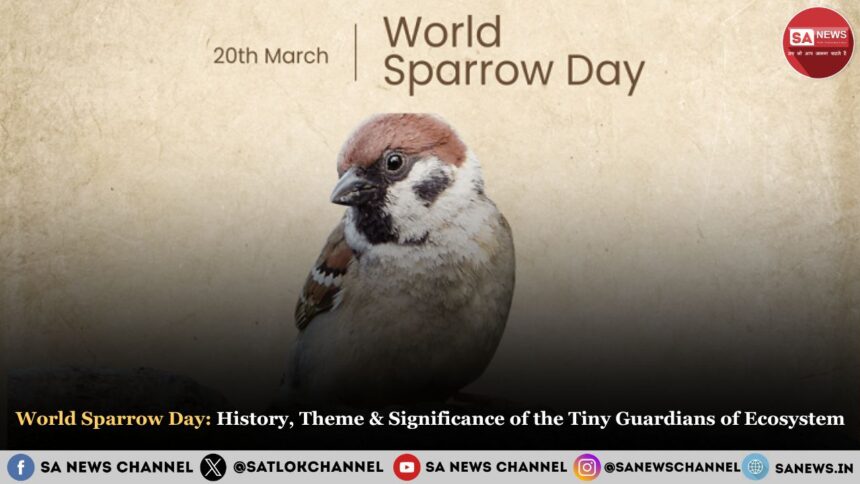 World Sparrow Day 2025 History, Theme & Significance of the Tiny Guardians of Our Ecosystem
